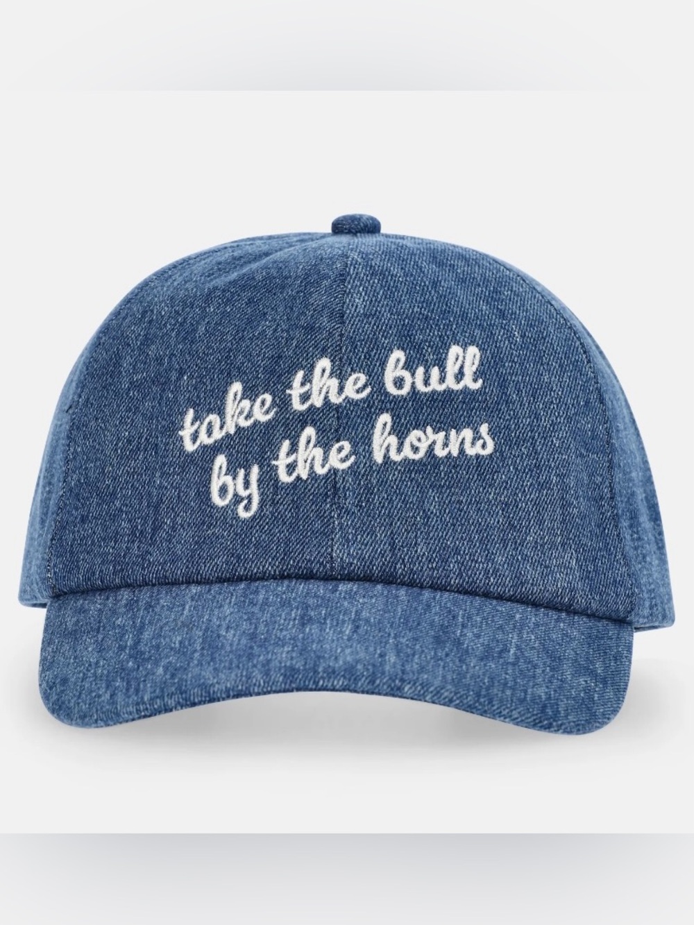 NWT Kacey Lee Denim Cap with 'take the bull by the horns' - bundle is 2 - Picture 3 of 9